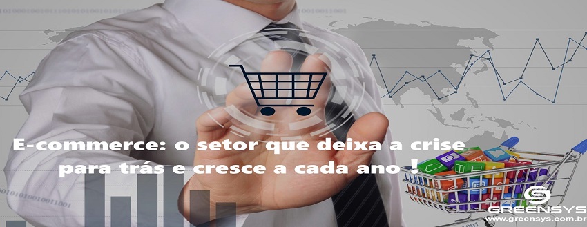 E-commerce: o setor que deixa a crise para trás e cresce a cada ano