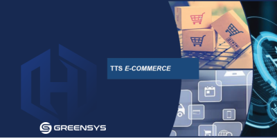 Por que você precisa entender o TTS E-Commerce em Minas Gerais
